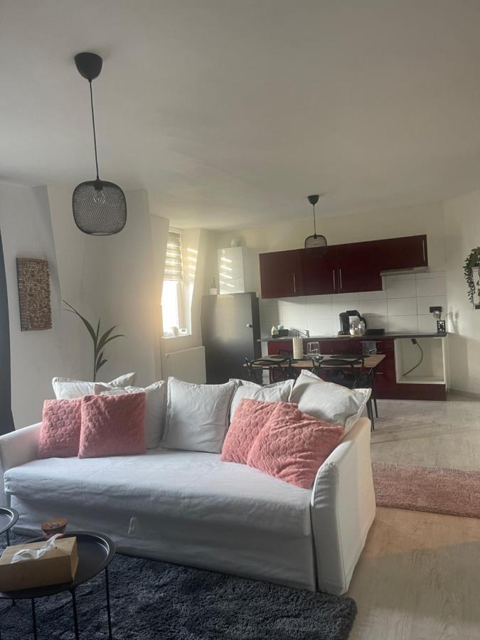 Le Cocon De La Belle Liegeoise Apartman Kültér fotó